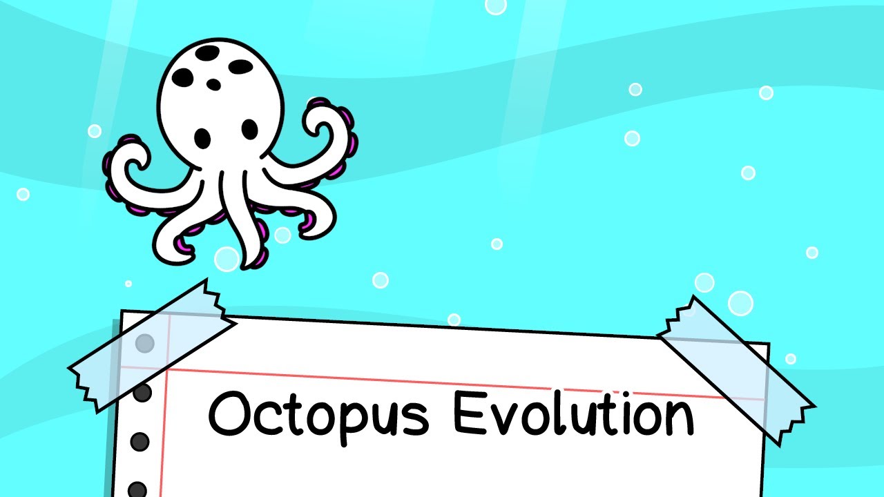 Octopus Evolution Clicker Tips and Cheats